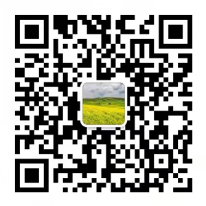 云鼎页面在线登录微信